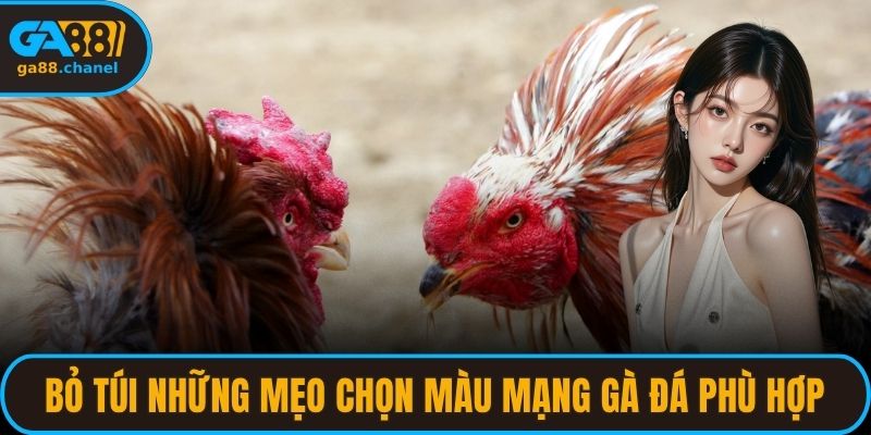 Bỏ túi những mẹo chọn màu mạng gà đá phù hợp
