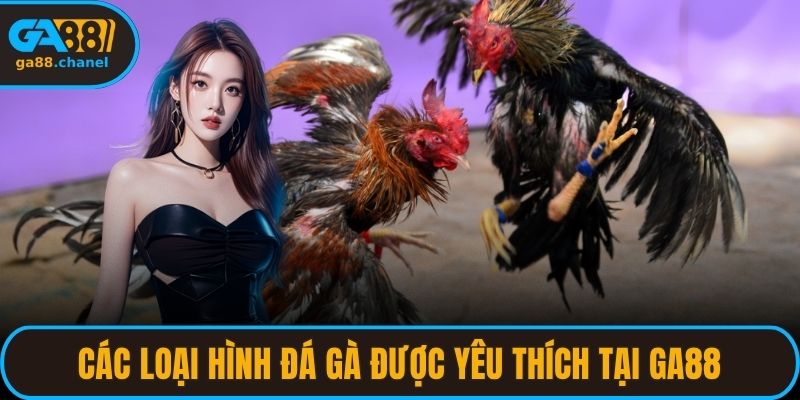Các Loại Hình Đá Gà Được Yêu Thích Tại GA88