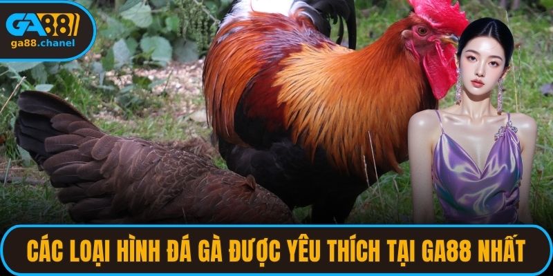 Các loại hình đá gà được yêu thích tại GA88 nhất
