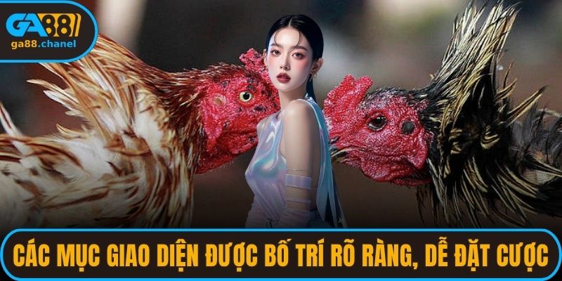 Các mục giao diện được bố trí rõ ràng, dễ đặt cược