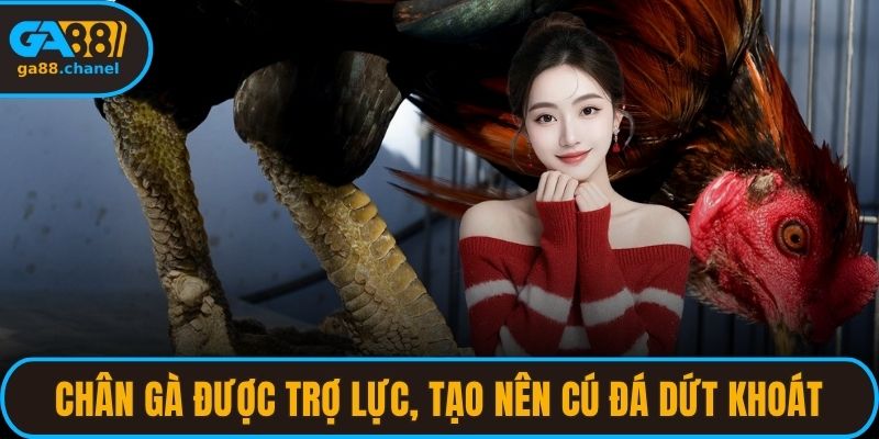 Chân gà được trợ lực, tạo nên cú đá dứt khoát