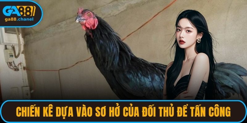 Những chiến kê dựa vào sơ hở của đối thủ để tấn công