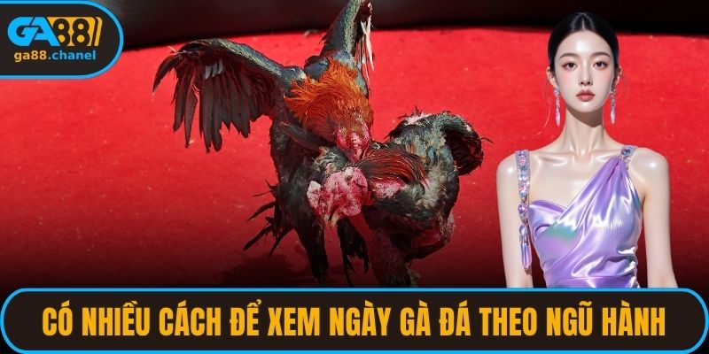 Có nhiều cách để xem ngày gà đá theo ngũ hành