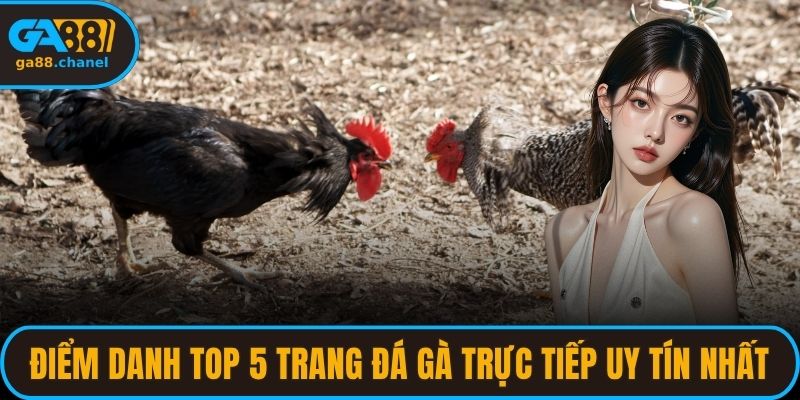 Điểm danh top 5 trang đá gà trực tiếp uy tín nhất