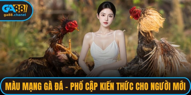 Màu Mạng Gà Đá - Phổ Cập Kiến Thức Cho Người Mới