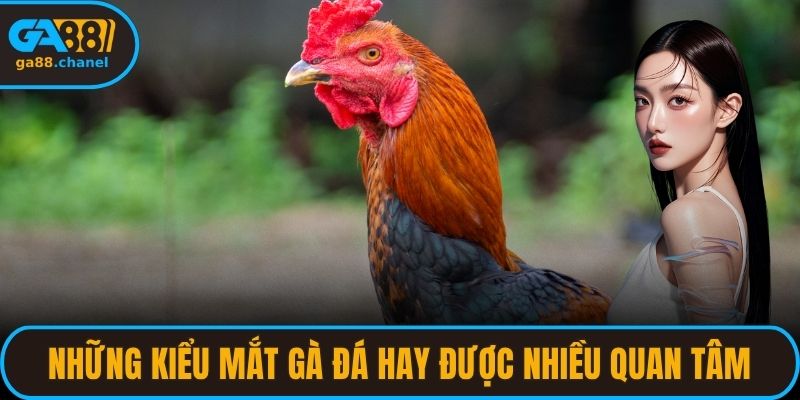 Những kiểu mắt gà đá hay được nhiều người quan tâm