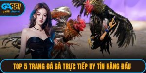 Top 5 Trang Đá Gà Trực Tiếp Uy Tín Hàng Đầu