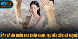Vảy Gà Án Thiên Hiếm Tạo Nên Chiến Kê Đỉnh Cao
