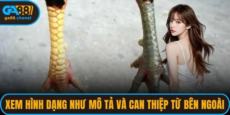 Xem hình dạng đã đúng như mô tả và có bị can thiệp từ bên ngoài