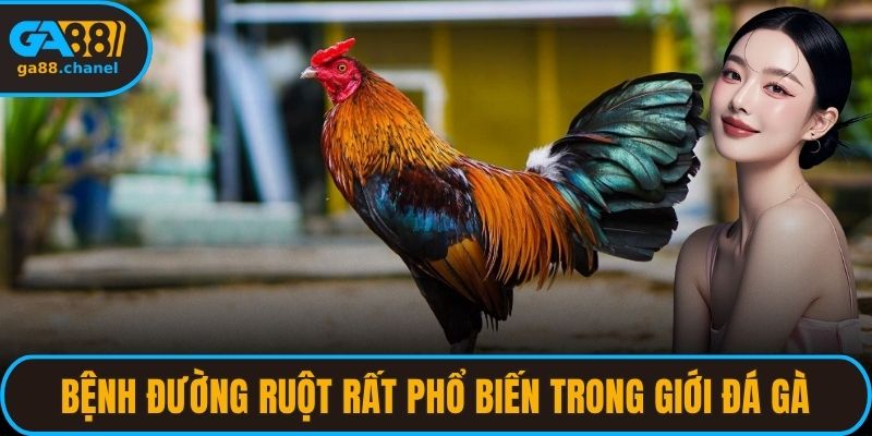 Bệnh đường ruột rất phổ biến trong giới game cá cược
