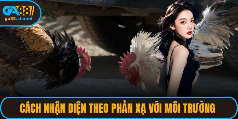 Cách nhận diện theo phản xạ với môi trường của tuyển thủ