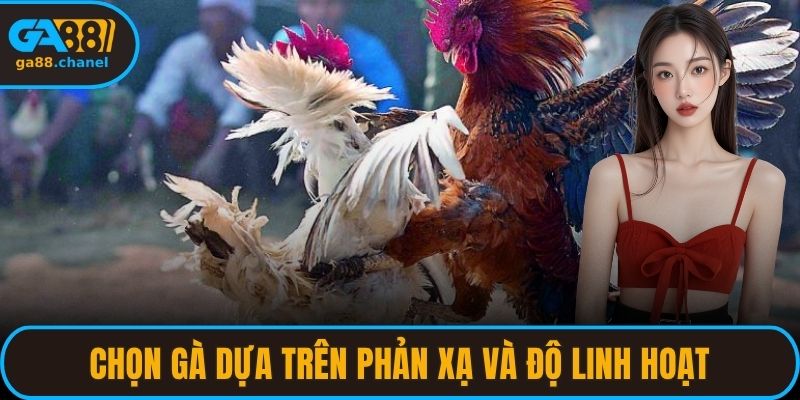 Chọn gà dựa trên phản xạ và độ linh hoạt