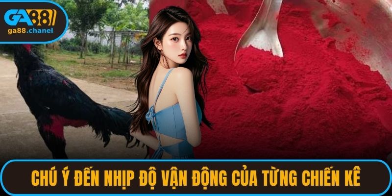 Chú ý đến nhịp độ vận động của từng chiến kê