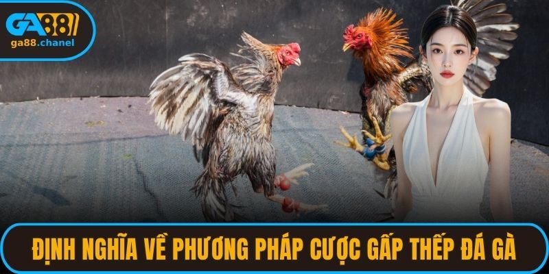 Định nghĩa về phương pháp cược gấp thếp trong đá gà