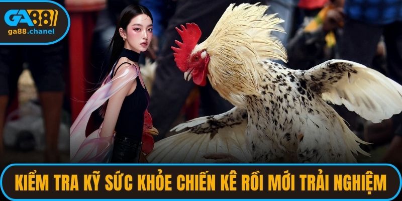 Kiểm tra kỹ sức khỏe chiến kê rồi mới trải nghiệm