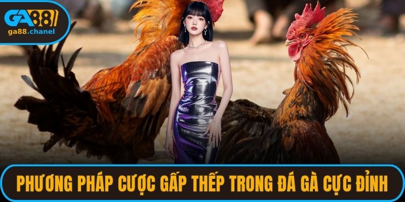 phương pháp cược gấp thếp trong đá gà