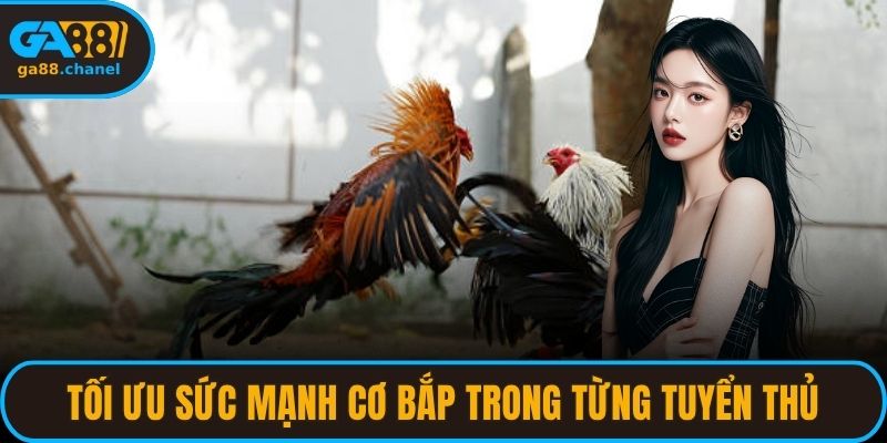 Tối ưu sức mạnh cơ bắp trong từng tuyển thủ