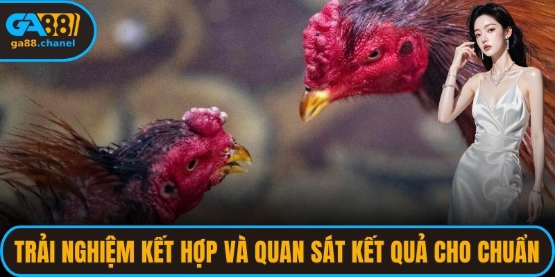 Trải nghiệm kết hợp và quan sát kết quả cho chuẩn